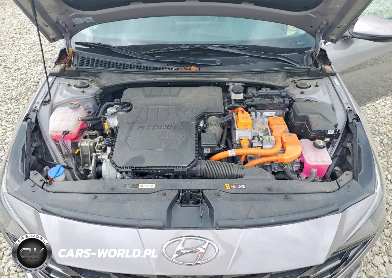 2023 Hyundai Elantra Limited VIN:KMHLN4AJ9PU065859 - 11