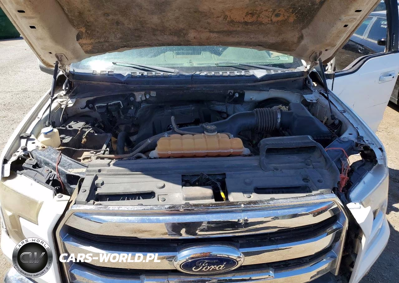 2015 Ford F150 Supercrew VIN:1FTEW1CP0FKD37168 - 11