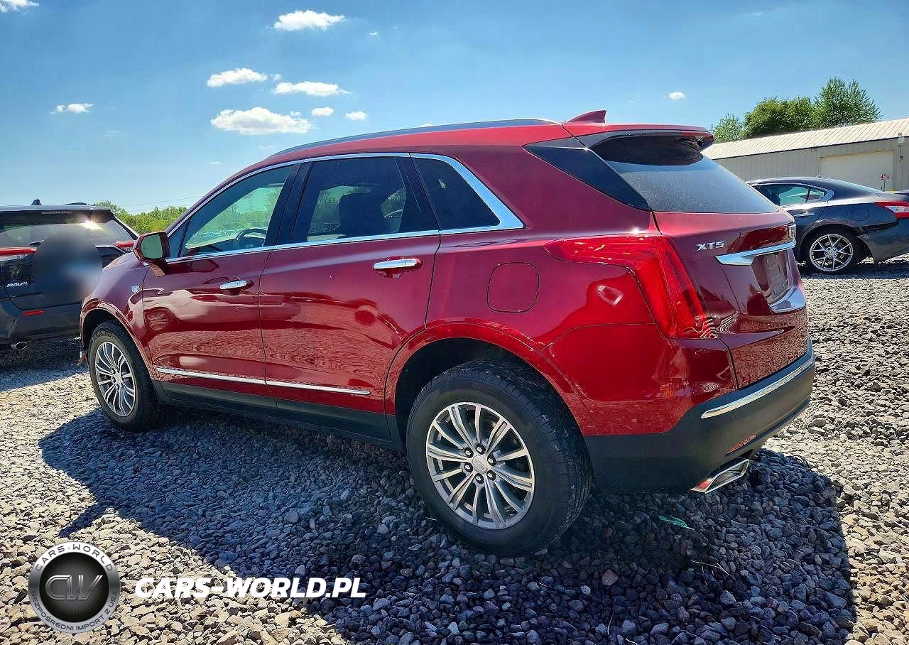 2019 Cadillac Xt5 Luxury VIN:1GYKNCRS7KZ260937 - 2