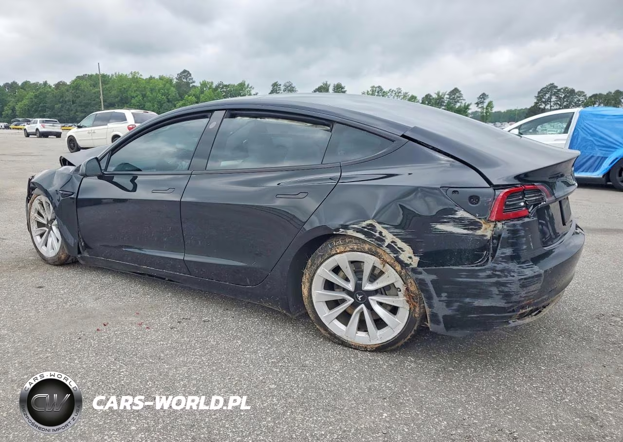 2023 Tesla Model 3 VIN:5YJ3E1EA4PF552845 - 2