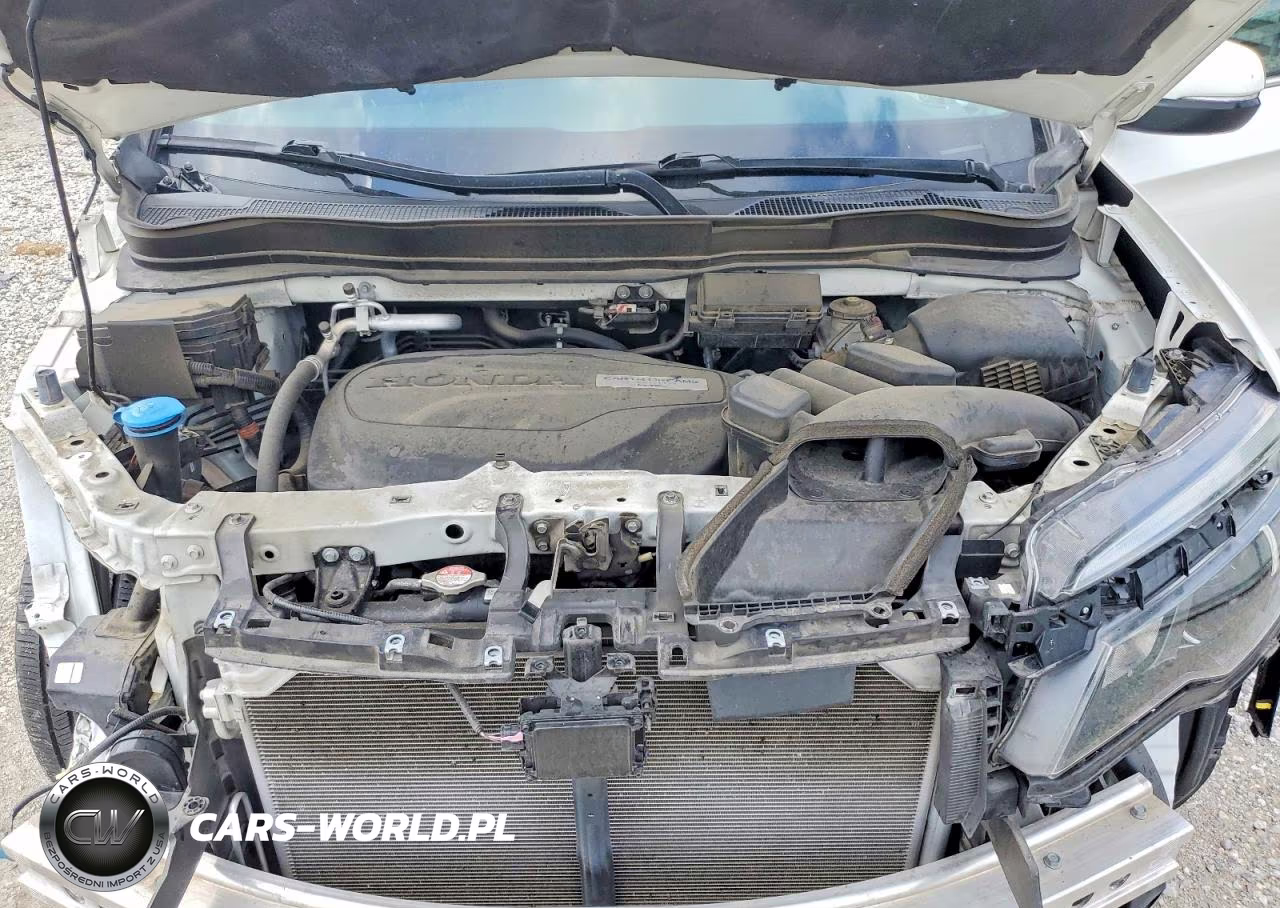 2019 Honda Pilot Exl VIN:5FNYF5H42KB020759 - 12