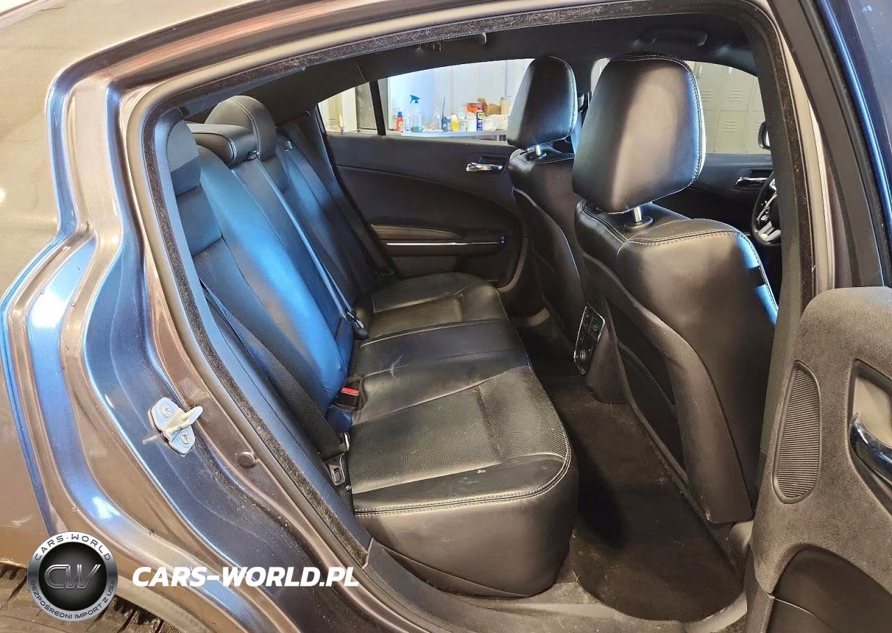 2014 Dodge Charger Sxt VIN:2C3CDXJG4EH334867 - 10