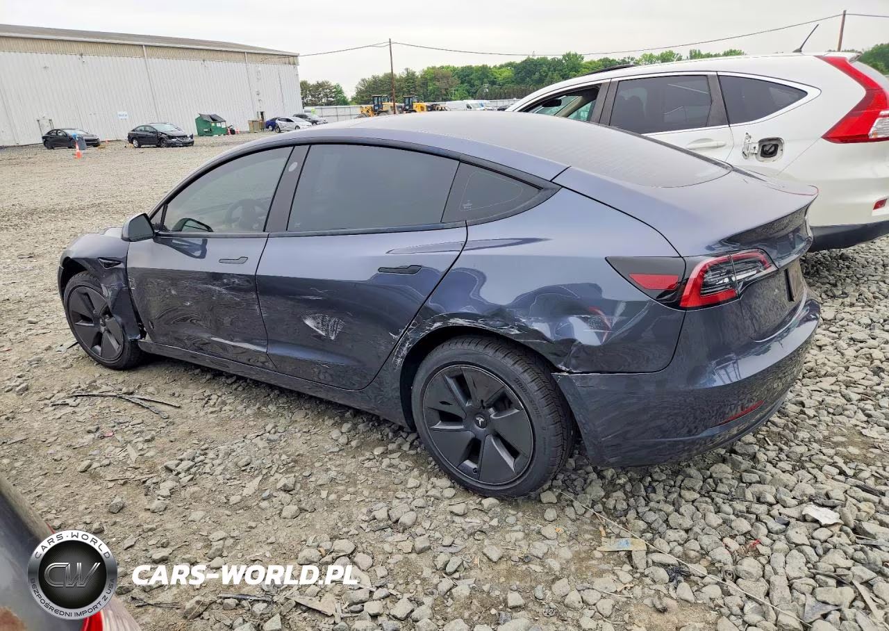 2023 Tesla Model 3 VIN:5YJ3E1EA6PF558565 - 2