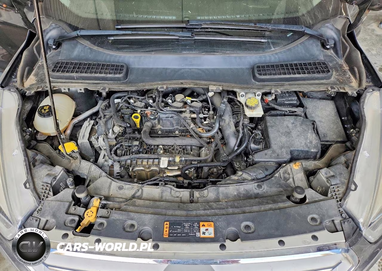 2019 Ford Escape Sel VIN:1FMCU9HD7KUA40872 - 12