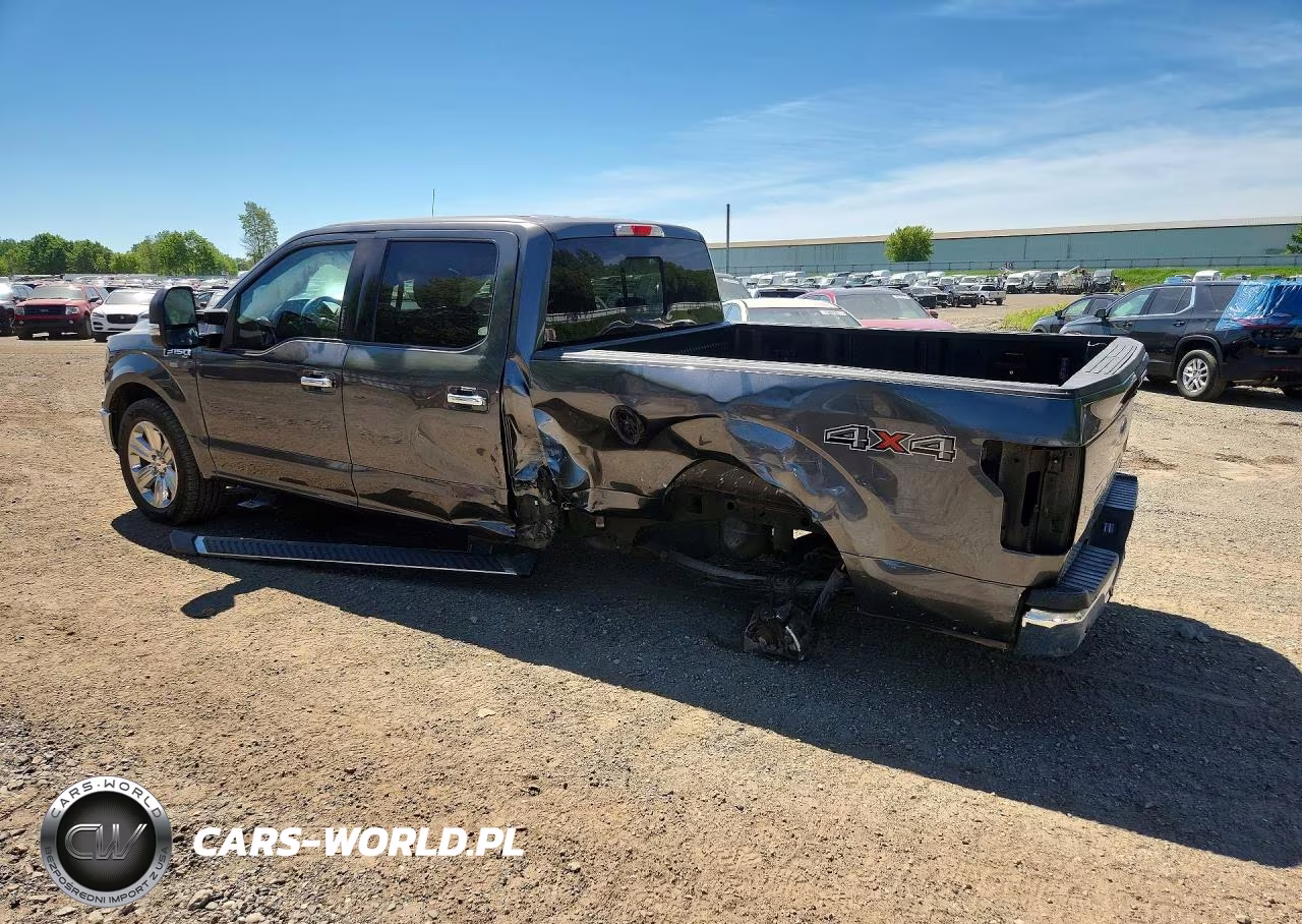 2020 Ford F150 Supercrew VIN:1FTFW1E49LFB32055 - 2