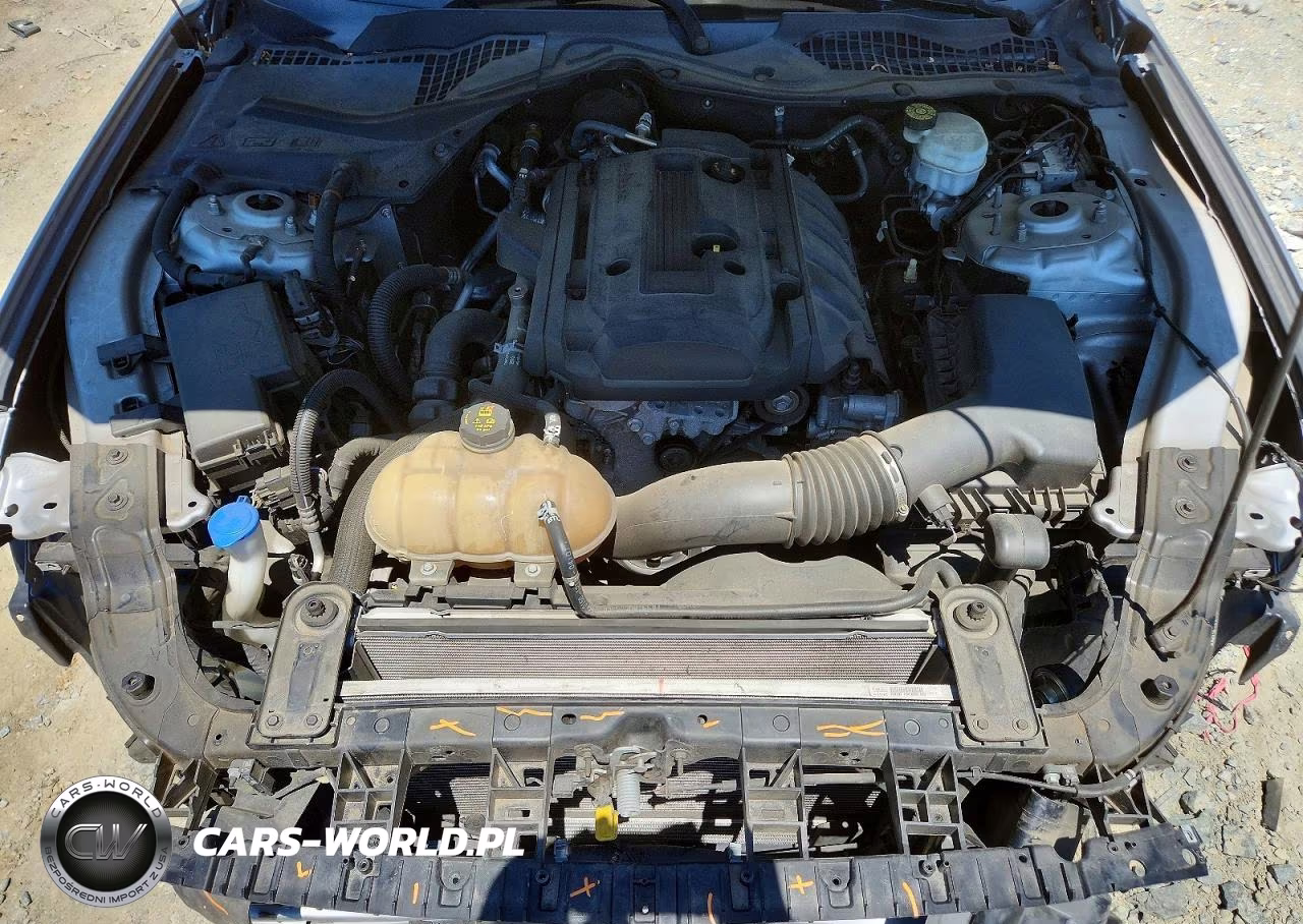 2020 Ford Mustang VIN:1FA6P8THXL5137059 - 11
