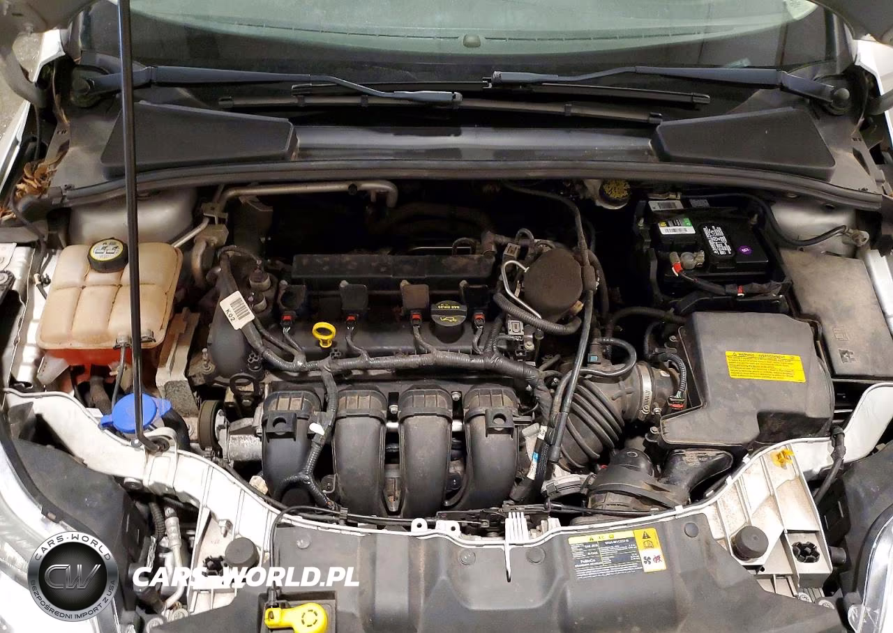 2013 Ford Focus Se VIN:1FADP3F2XDL177494 - 11