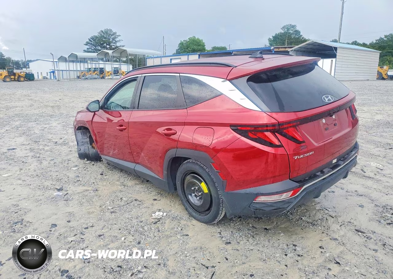 2024 Hyundai Tucson Sel VIN:5NMJB3DE8RH406403 - 2