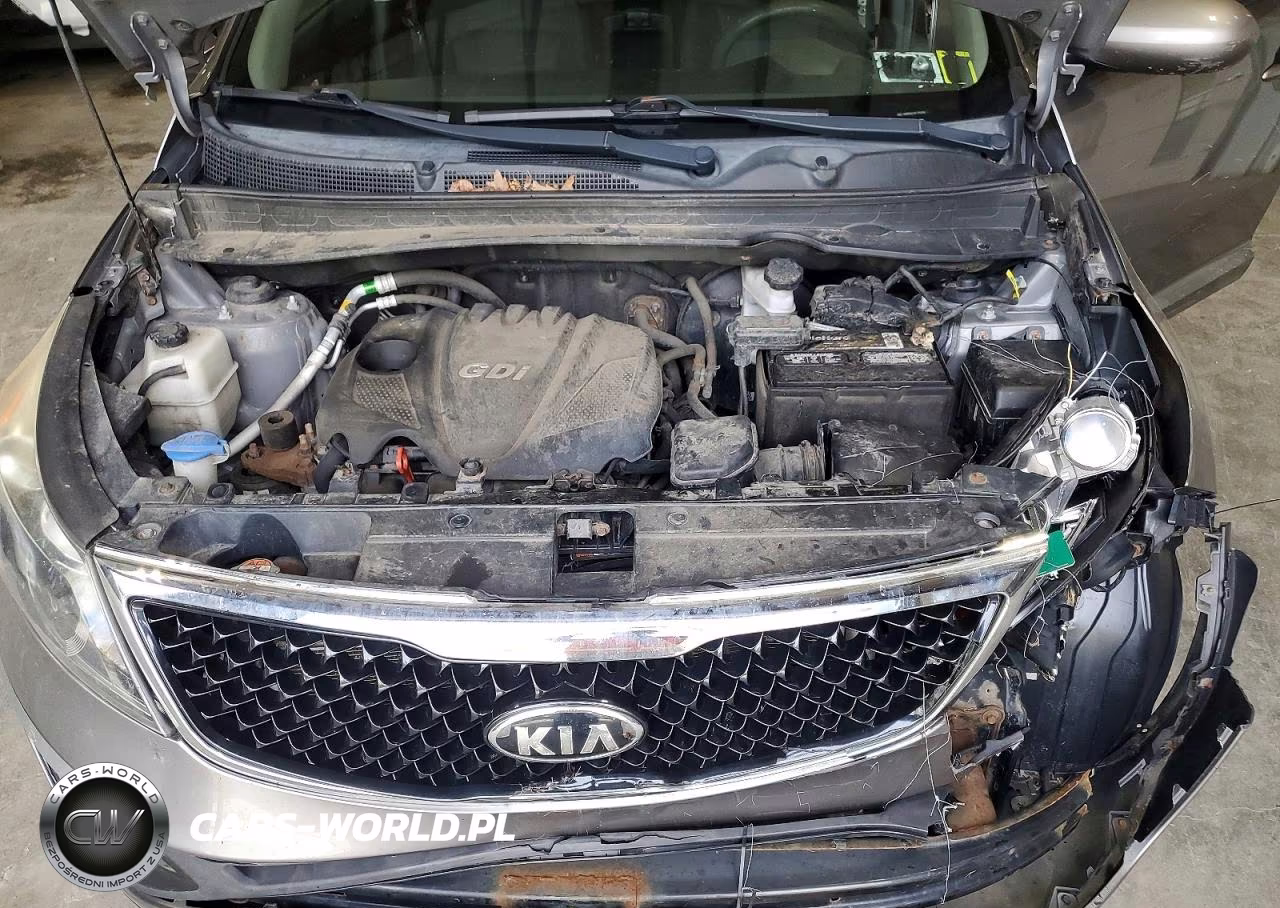 2015 Kia Sportage Lx VIN:KNDPB3ACXF7751092 - 12