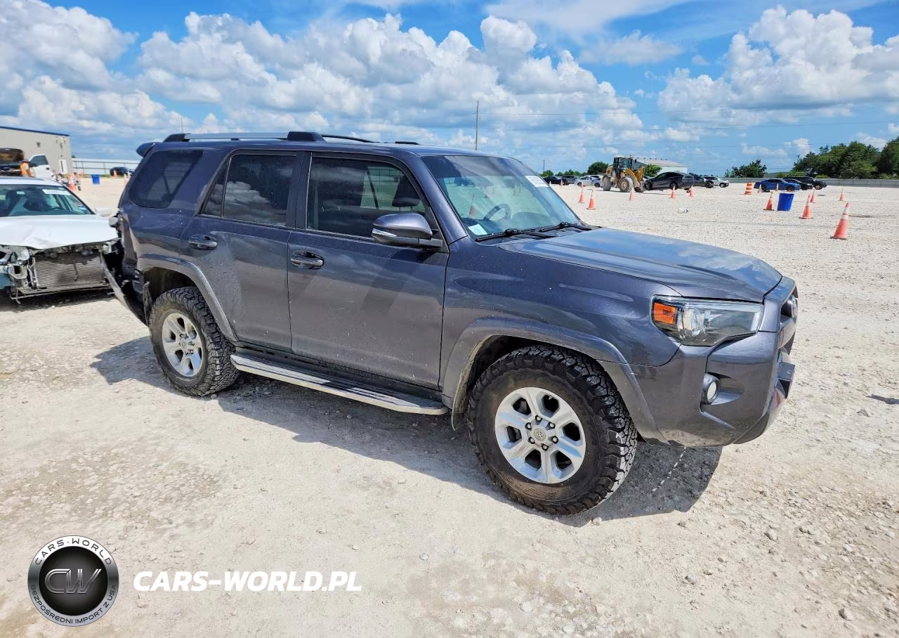 2019 Toyota 4Runner Sr5 Premium VIN:JTEZU5JR3K5210826 - 4