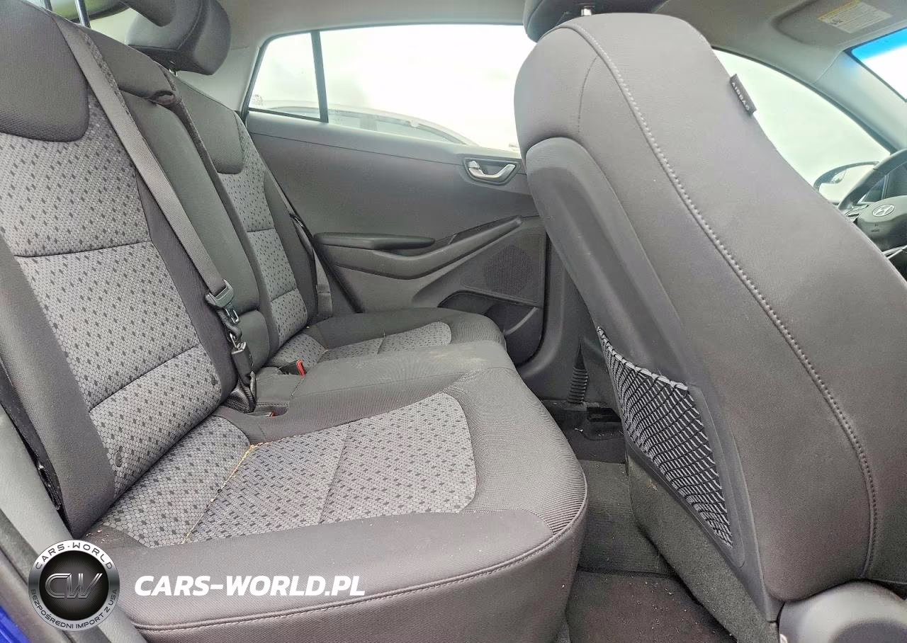 2019 Hyundai Ioniq Electric Base VIN:KMHC75LH5KU043120 - 10