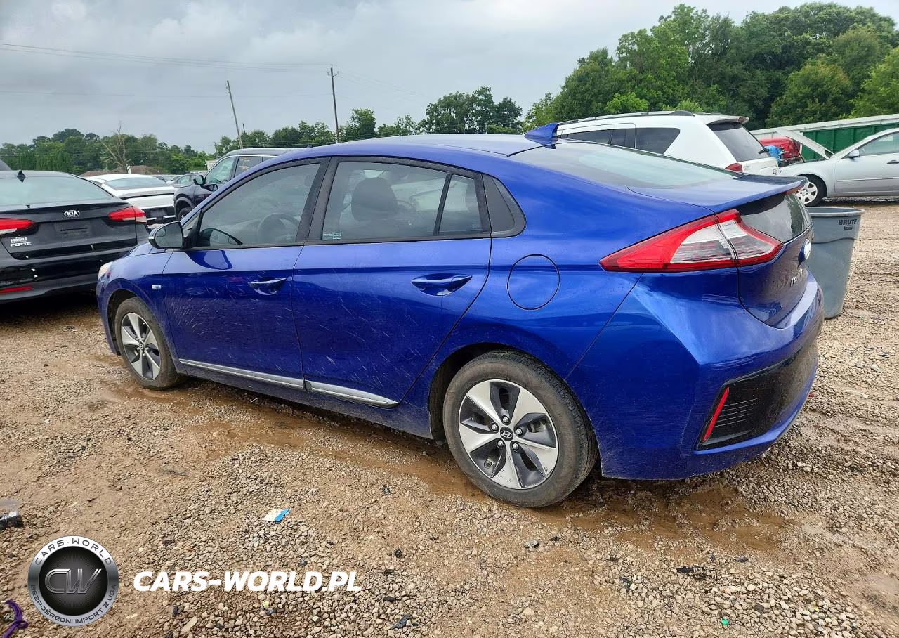 2019 Hyundai Ioniq Electric Base VIN:KMHC75LH5KU043120 - 2