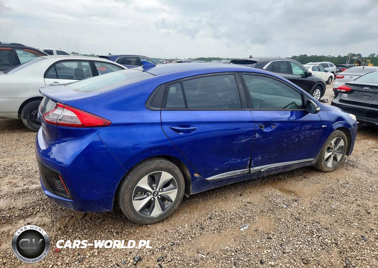 2019 Hyundai Ioniq Electric Base VIN:KMHC75LH5KU043120 - 3