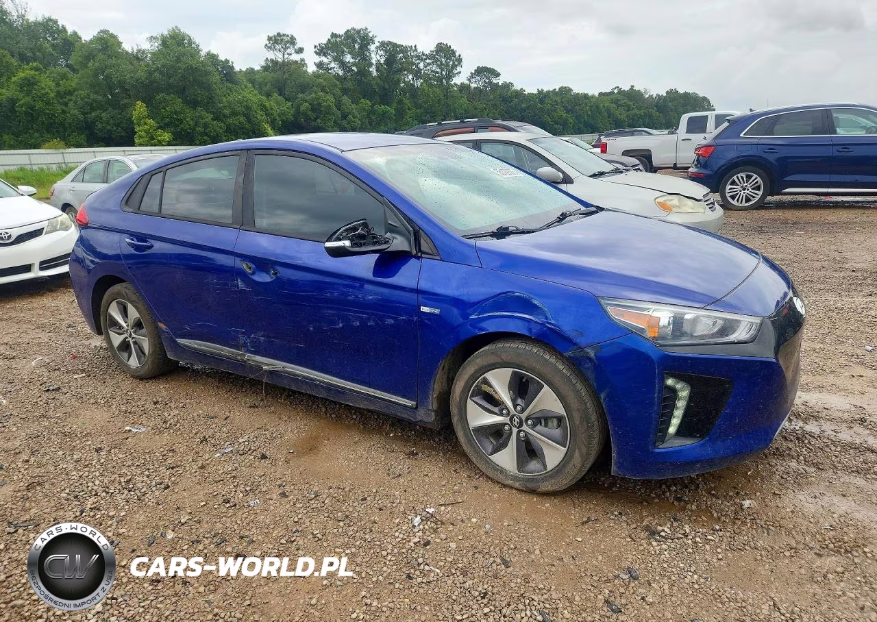 2019 Hyundai Ioniq Electric Base VIN:KMHC75LH5KU043120 - 4