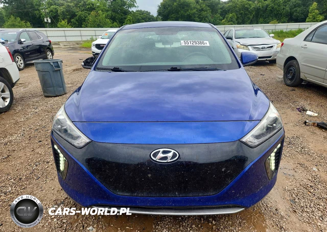 2019 Hyundai Ioniq Electric Base VIN:KMHC75LH5KU043120 - 5