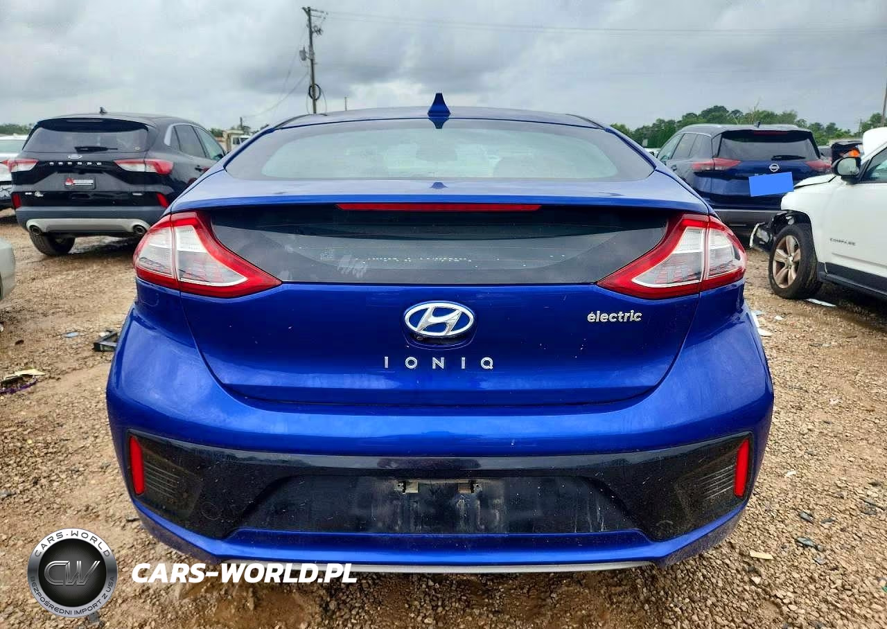 2019 Hyundai Ioniq Electric Base VIN:KMHC75LH5KU043120 - 6