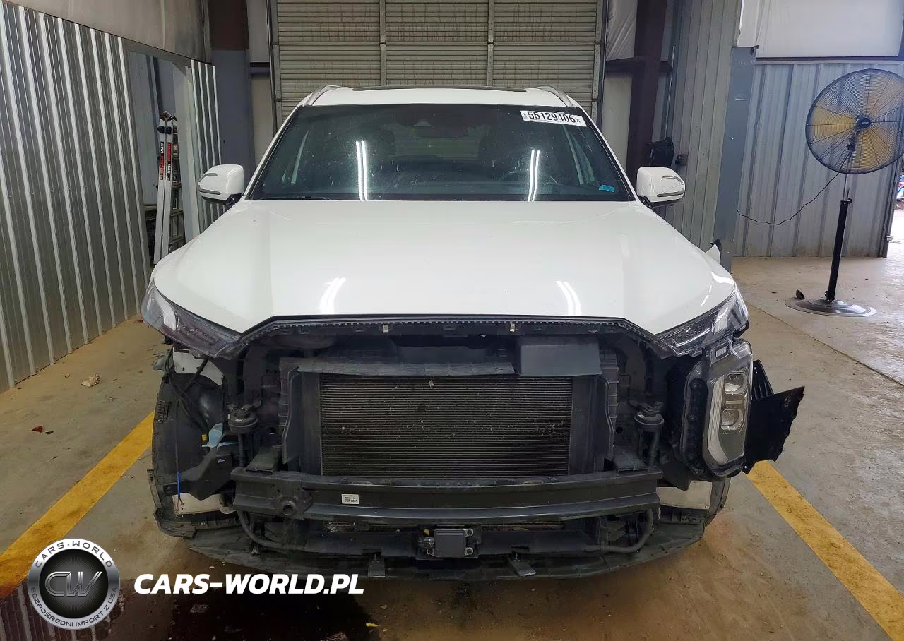 2020 Hyundai Palisade Limited VIN:KM8R54HE7LU158117 - 5