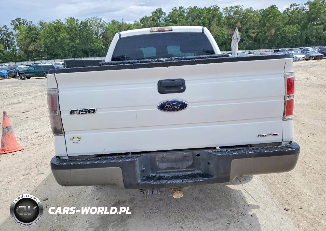 2013 Ford F150 VIN:1FTMF1CM9DKE00458 - 10