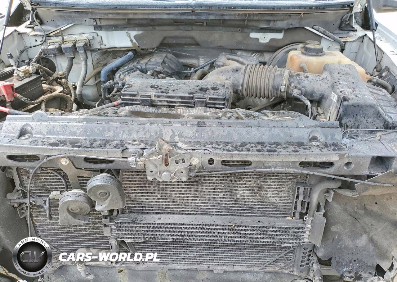 2013 Ford F150 VIN:1FTMF1CM9DKE00458 - 11