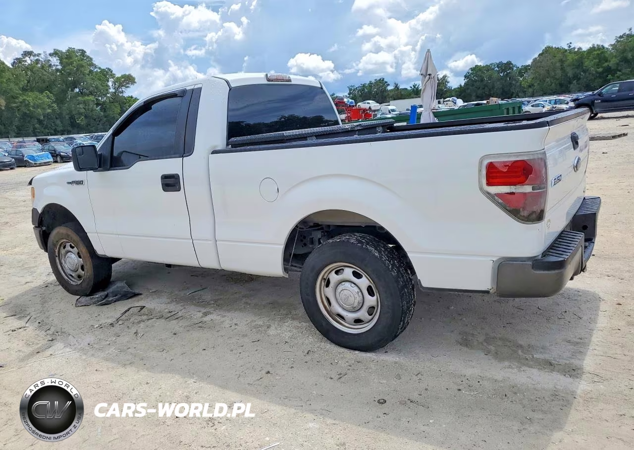 2013 Ford F150 VIN:1FTMF1CM9DKE00458 - 2