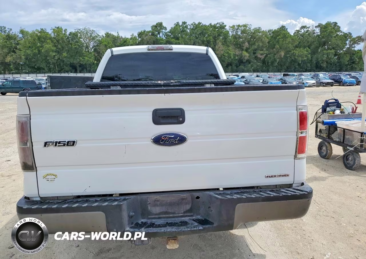 2013 Ford F150 VIN:1FTMF1CM9DKE00458 - 6