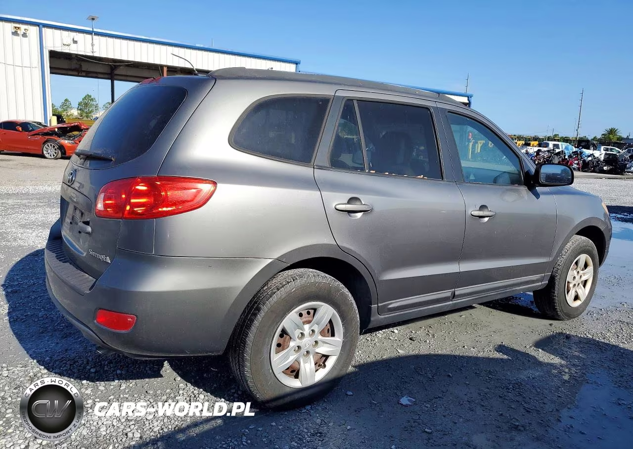 2009 Hyundai Santa Fe Gls VIN:5NMSG13D49H271424 - 3