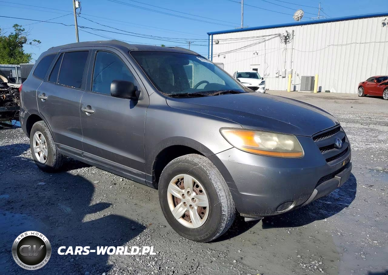 2009 Hyundai Santa Fe Gls VIN:5NMSG13D49H271424 - 4
