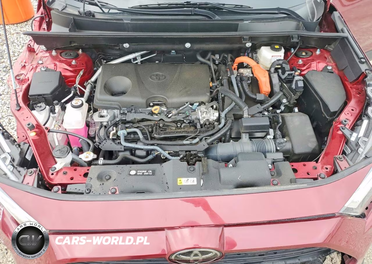 2025 Toyota Rav4 Hybrid Xle VIN:4T3RWRFV2SU164555 - 12