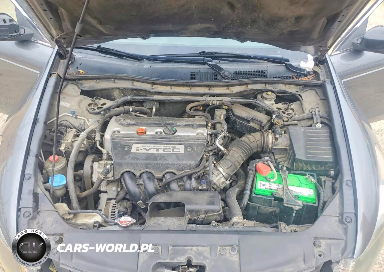 2009 Honda Accord Ex VIN:1HGCP267X9A178855 - 11