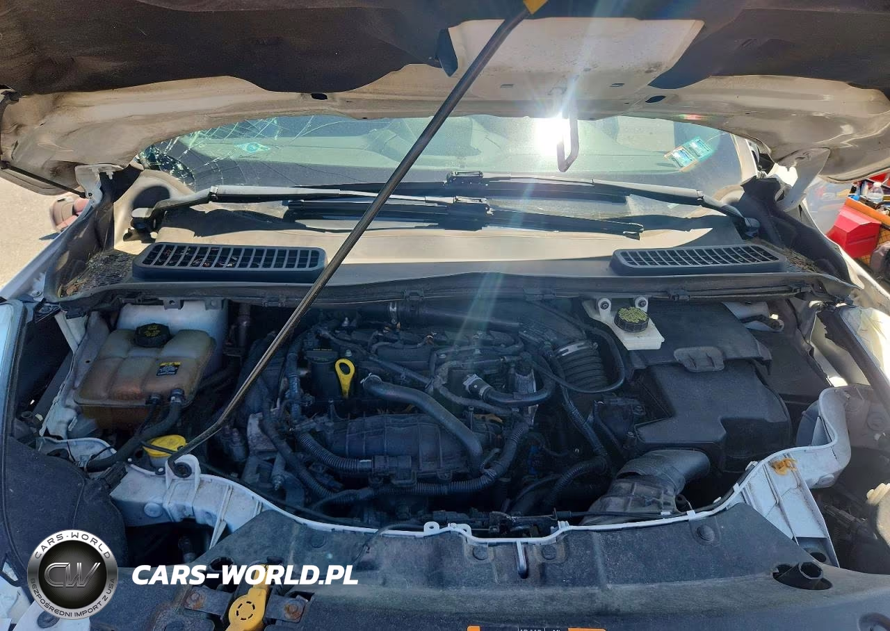 2013 Ford Escape Se VIN:1FMCU0GXXDUC66964 - 12