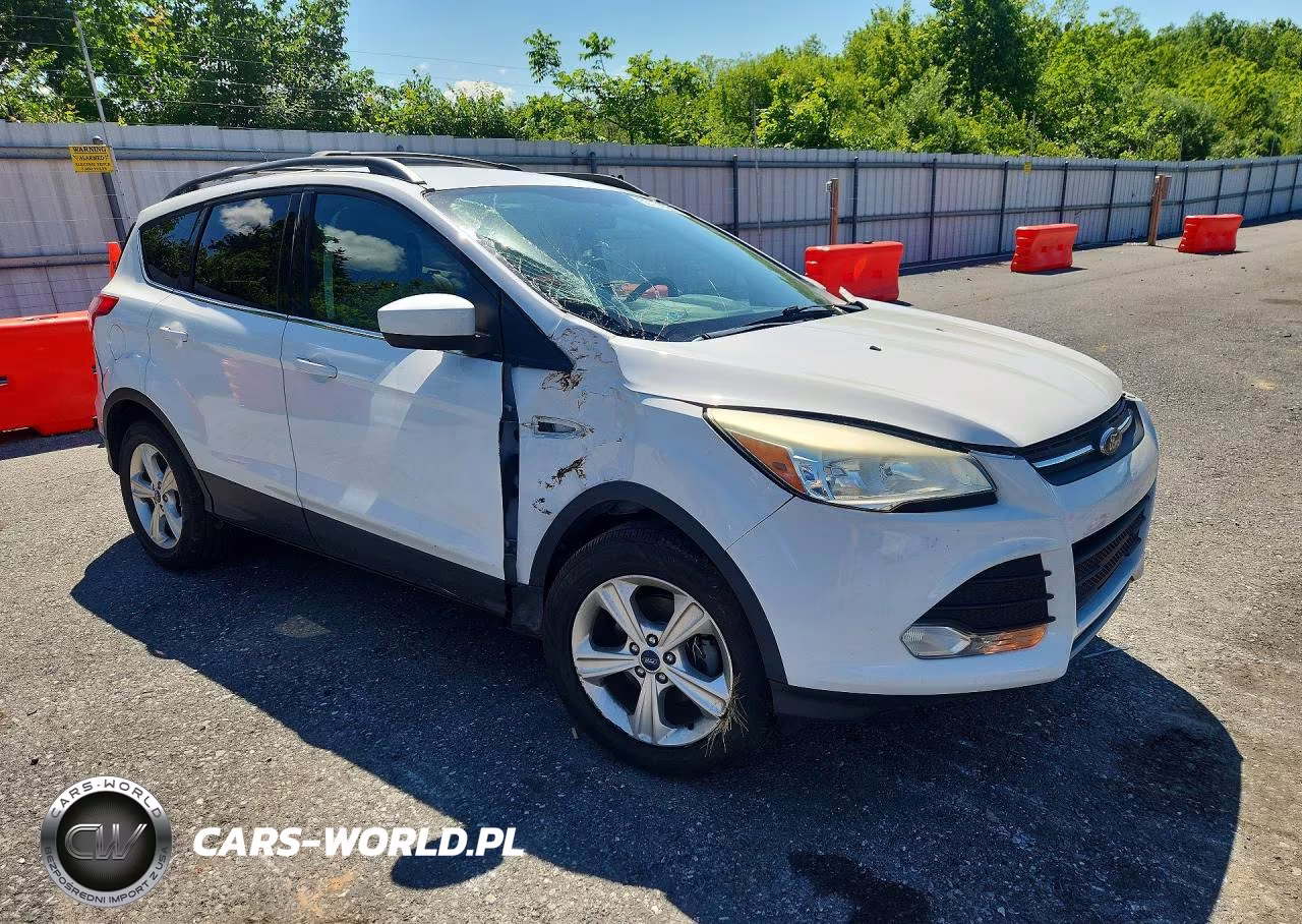 2013 Ford Escape Se VIN:1FMCU0GXXDUC66964 - 4