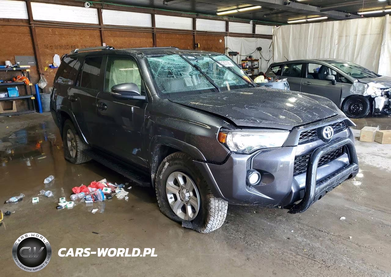 2018 Toyota 4Runner Sr5 Premium VIN:JTEBU5JR9J5579206 - 4