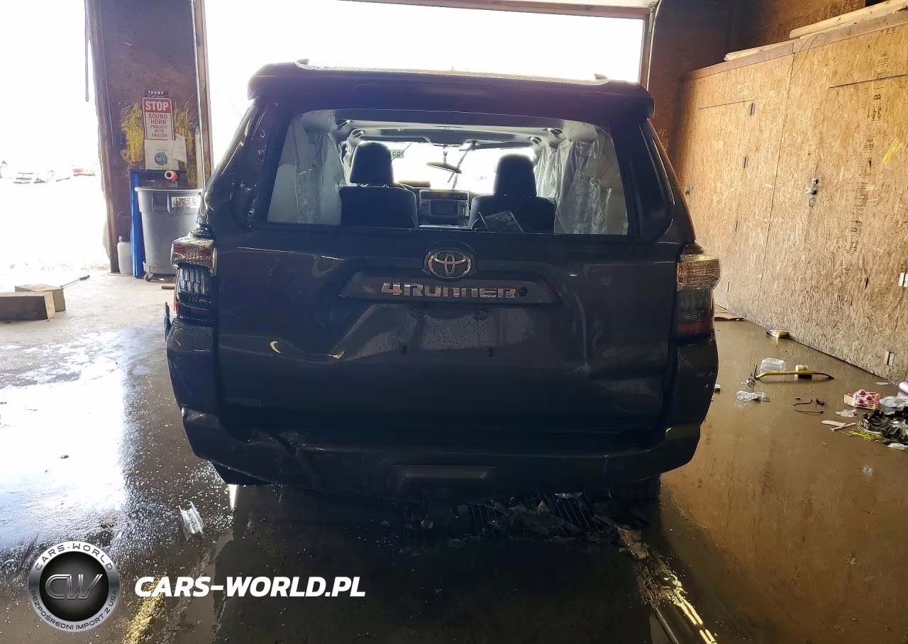 2018 Toyota 4Runner Sr5 Premium VIN:JTEBU5JR9J5579206 - 6