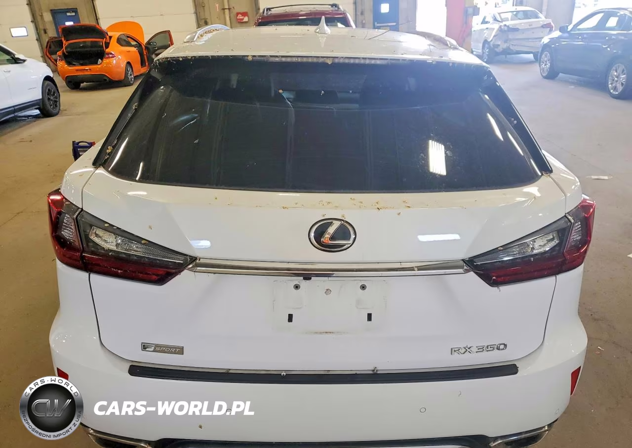 2019 Lexus Rx 350 F Sport VIN:2T2BZMCA0KC181213 - 6