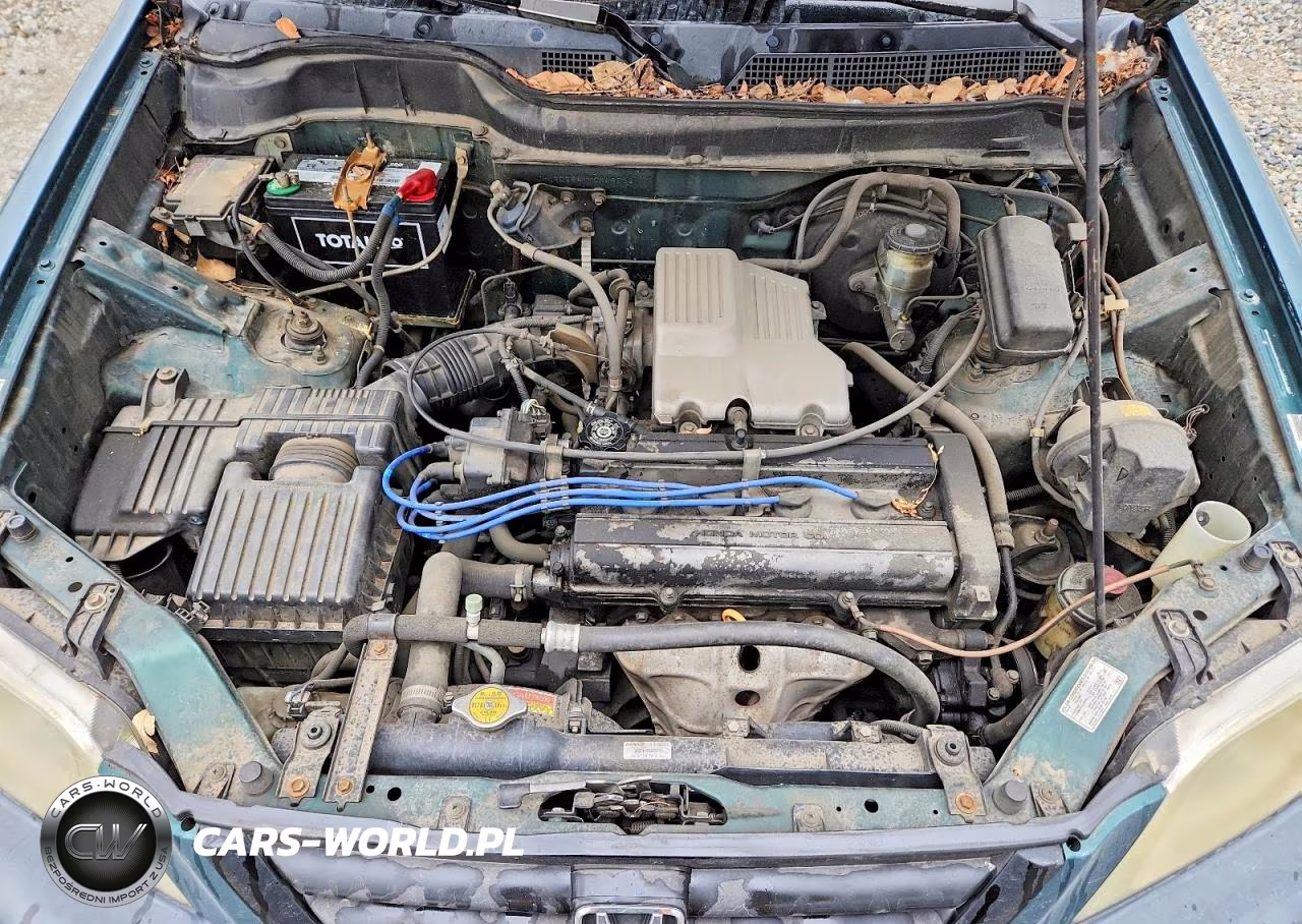 2000 Honda Cr-V Lx VIN:JHLRD2841YC006532 - 12