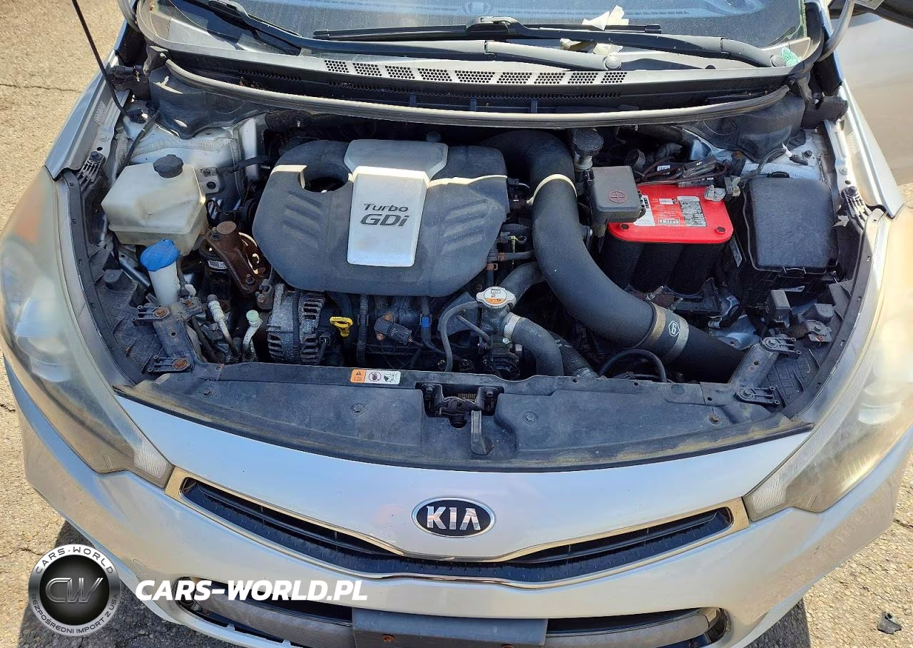 2015 Kia Forte Sx VIN:KNAFZ5A37F5406730 - 11