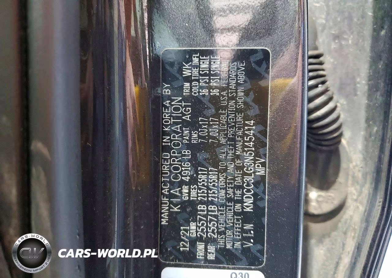 2022 Kia Niro Ev Ex VIN:KNDCC3LG3N5145414 - 13