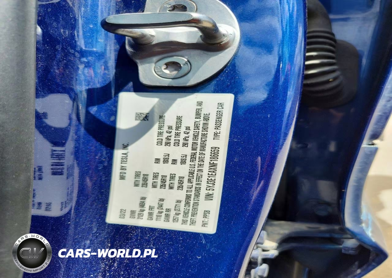 2022 Tesla Model 3 VIN:5YJ3E1EAXNF186659 - 12