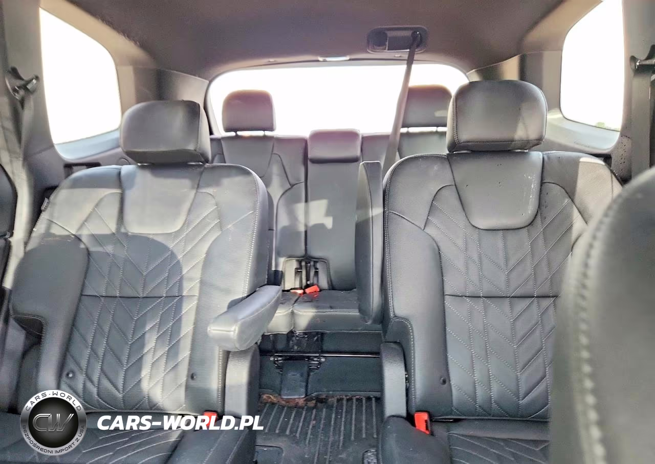 2024 Kia Telluride Ex X-Line VIN:5XYP3DGC0RG498415 - 10