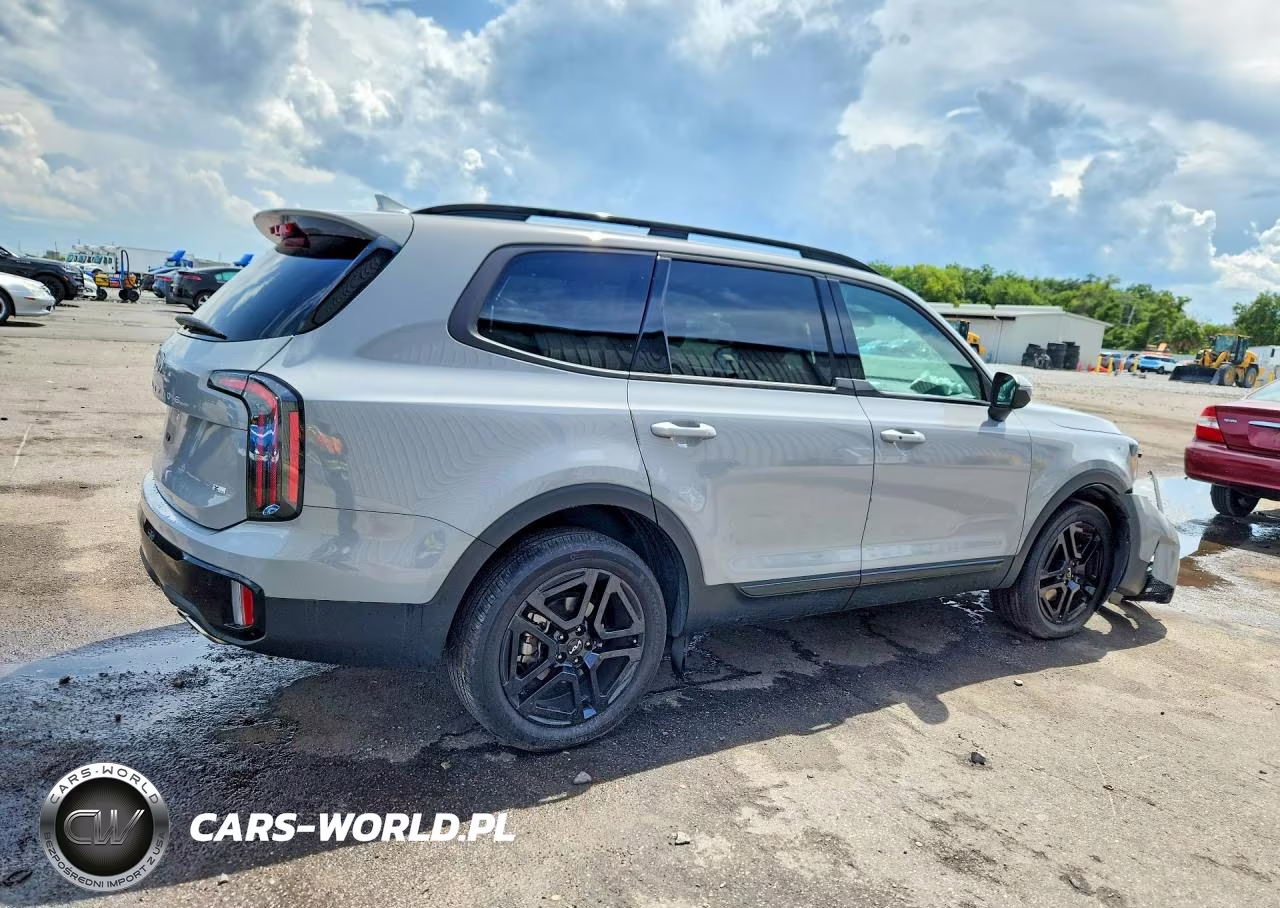 2024 Kia Telluride Ex X-Line VIN:5XYP3DGC0RG498415 - 3