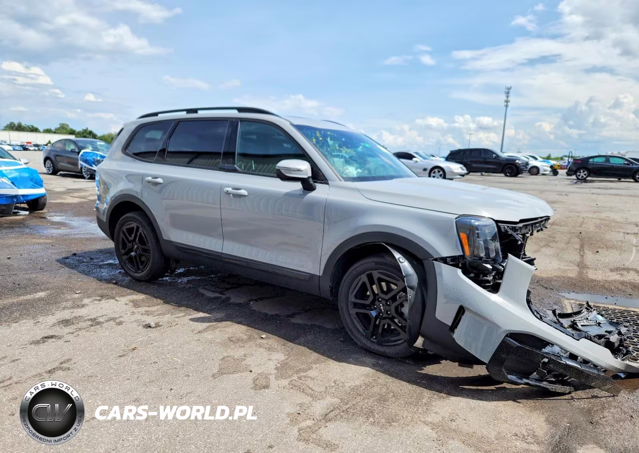 2024 Kia Telluride Ex X-Line VIN:5XYP3DGC0RG498415 - 4