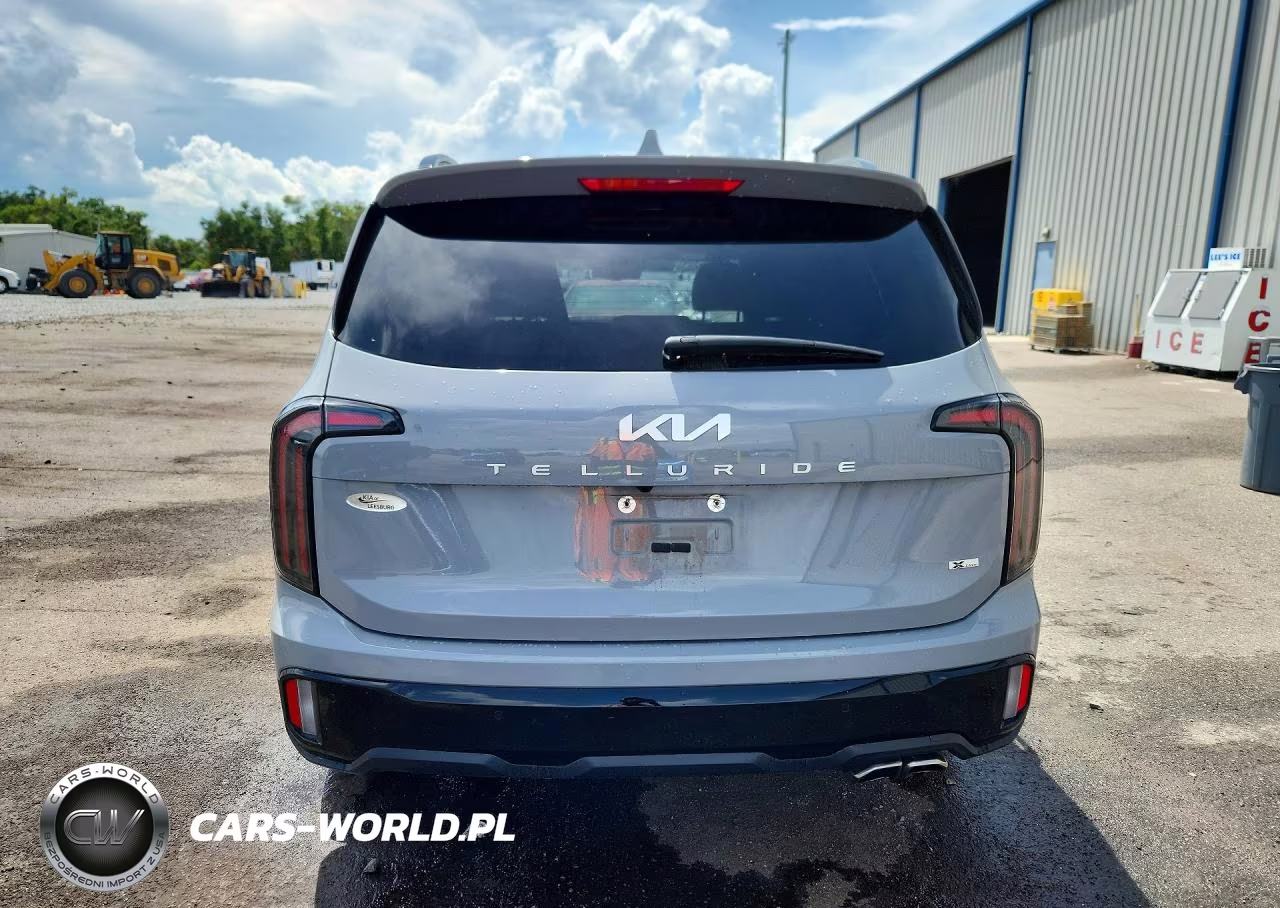 2024 Kia Telluride Ex X-Line VIN:5XYP3DGC0RG498415 - 6