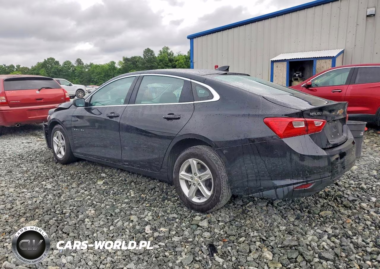 2024 Chevrolet Malibu Lt VIN:1G1ZD5ST3RF114383 - 2
