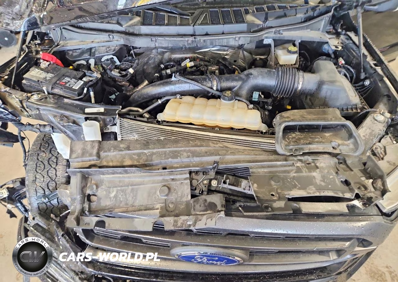 2022 Ford F150 Supercrew VIN:1FTEW1EP1NKE70937 - 11