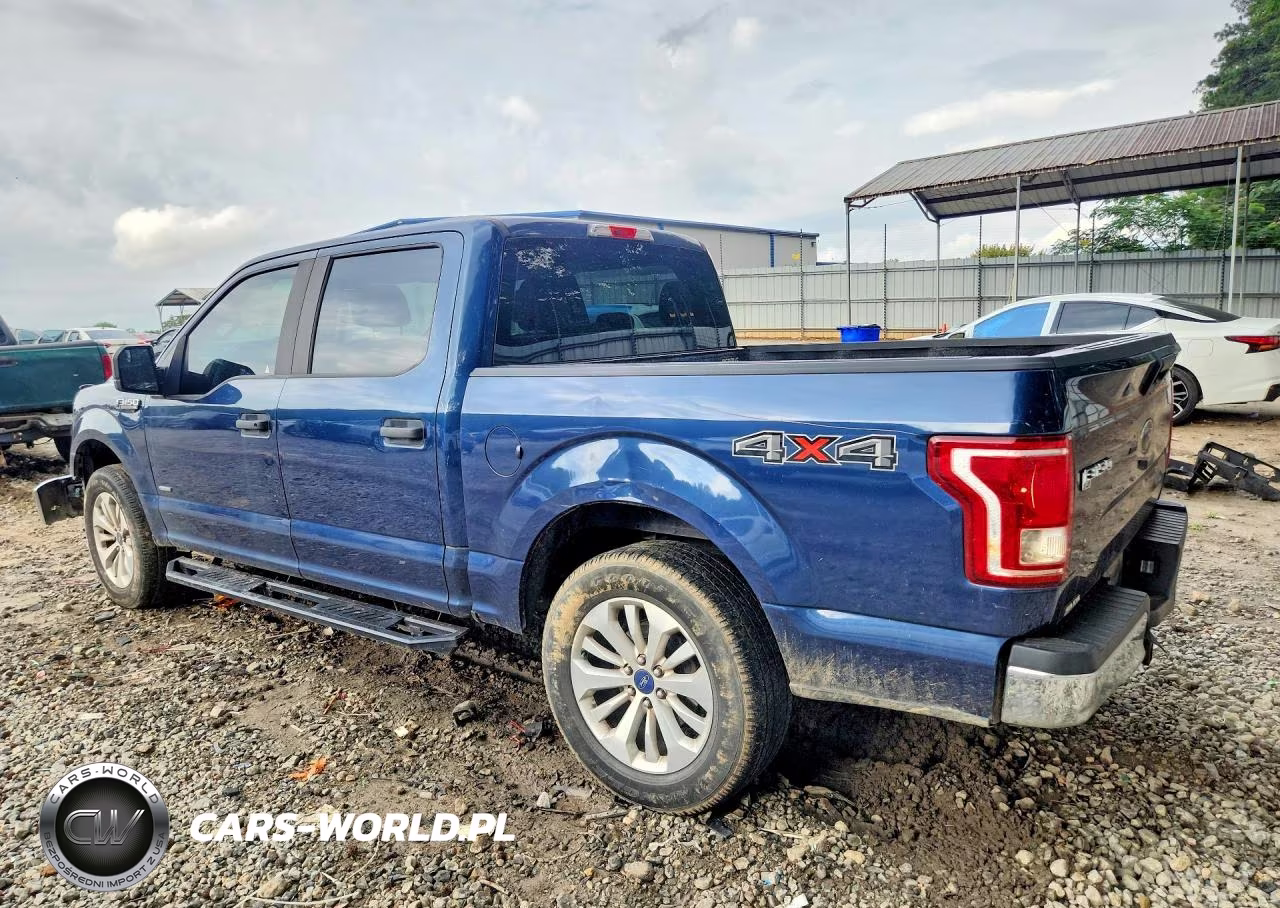 2016 Ford F150 Supercrew VIN:1FTEW1EP7GKF68664 - 2