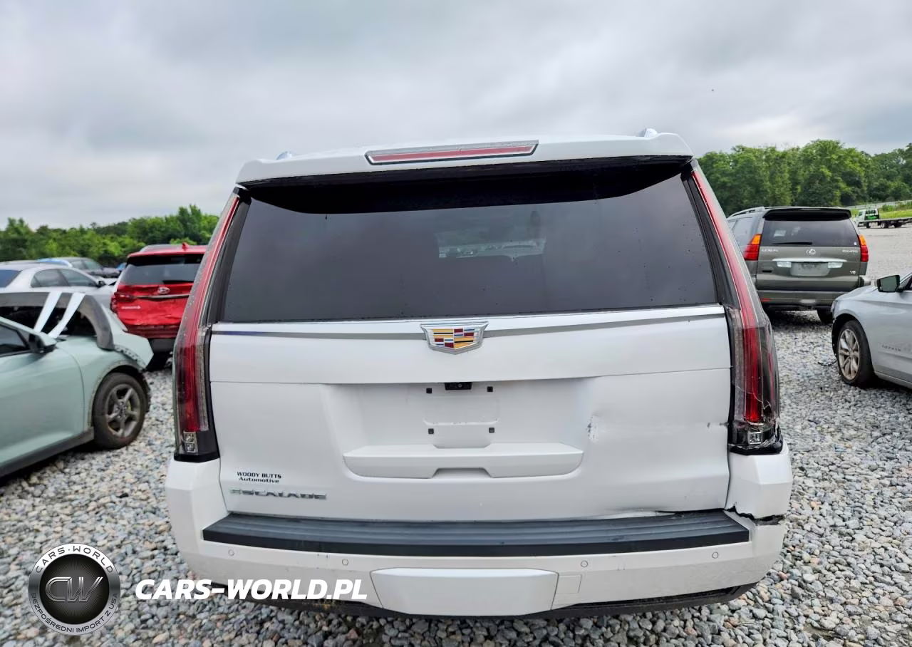 2017 Cadillac Escalade Luxury VIN:1GYS3BKJ7HR124995 - 6