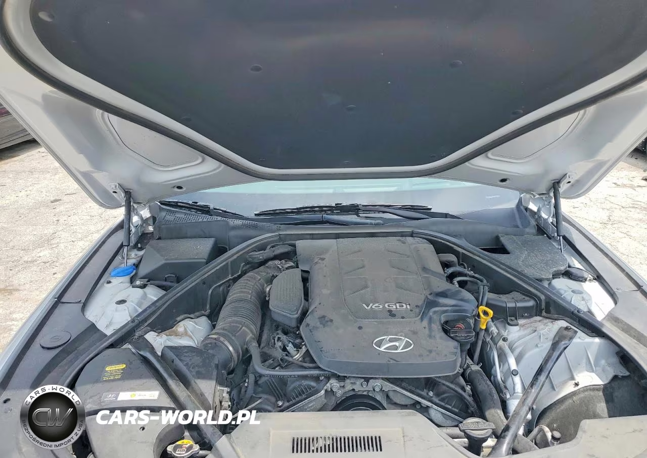 2015 Hyundai Genesis 3.8L VIN:KMHGN4JE9FU091879 - 11