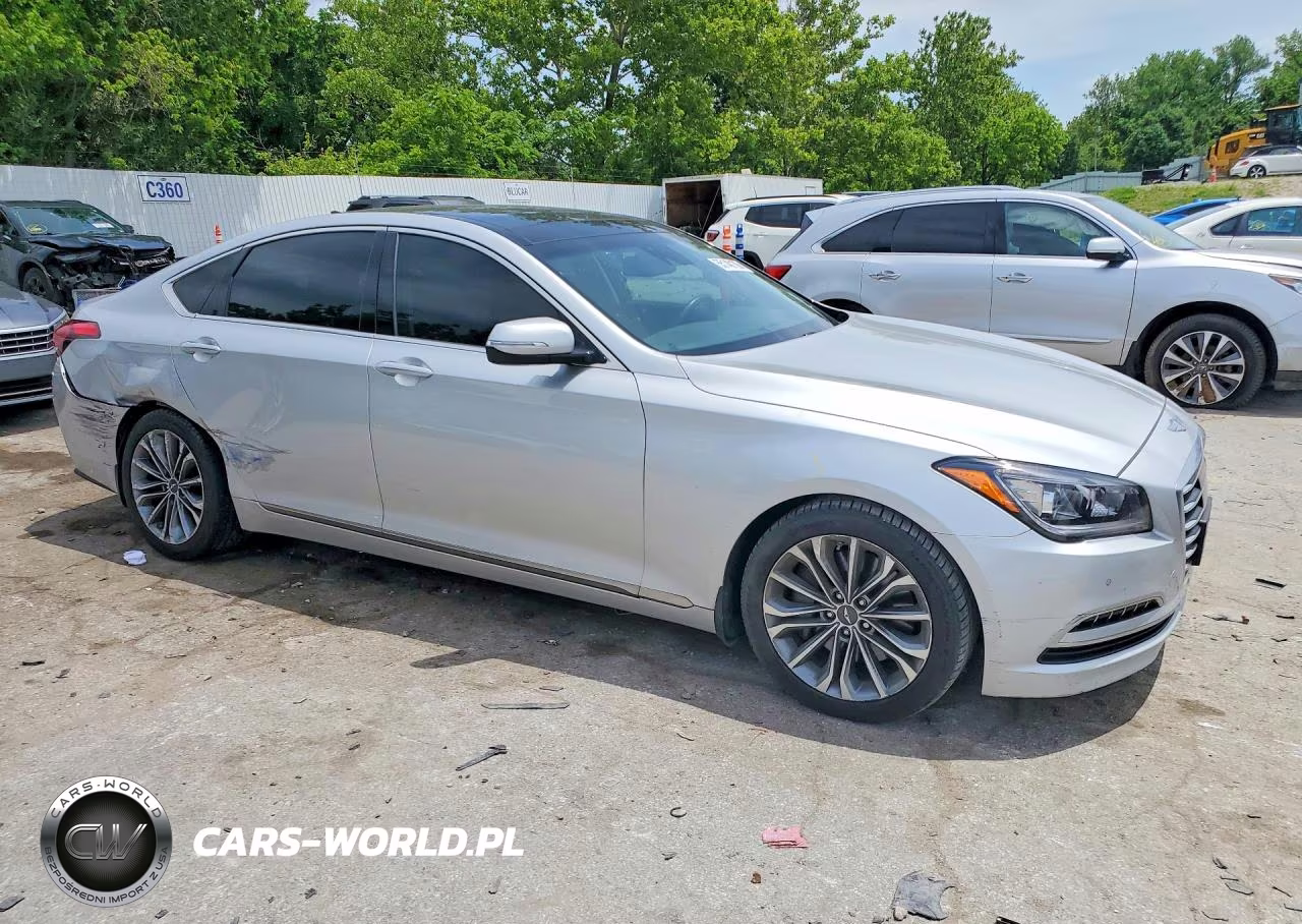 2015 Hyundai Genesis 3.8L VIN:KMHGN4JE9FU091879 - 4