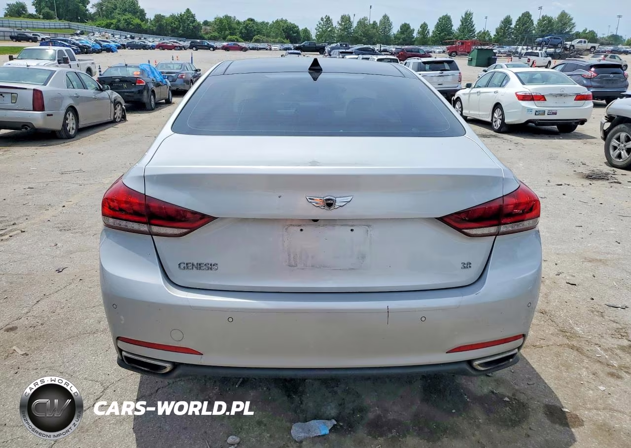 2015 Hyundai Genesis 3.8L VIN:KMHGN4JE9FU091879 - 6