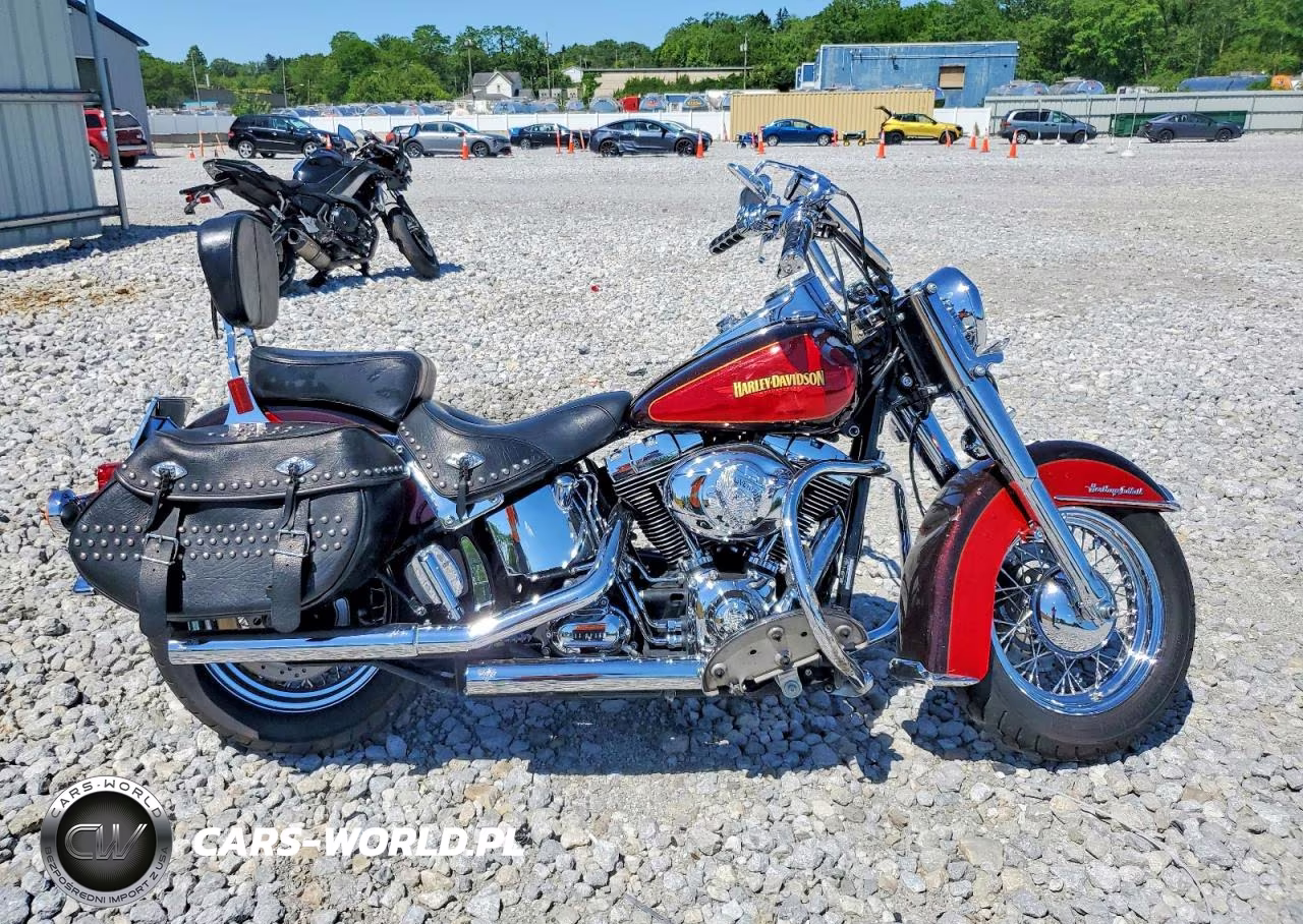 2010 Harley-Davidson Flstc